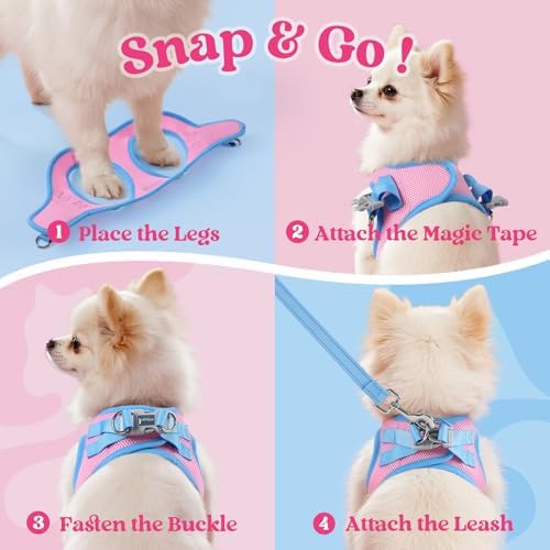 rabbitgoo Dog Harness Small Sized and Leash Set, Step in Soft Vest - Image 2