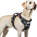 rabbitgoo Dog Harness for Large, Updated Easy On & Off by rabbitgoo