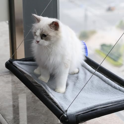 Cat Hammock for Window Wall - Image 6