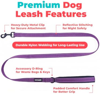 Best Pet Supplies Voyager Nylon Dog Leash - 6ft Purple - Image 2
