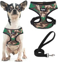 PUPTECK Small Dog Harness and Leash Set No Pull by PUPTECK