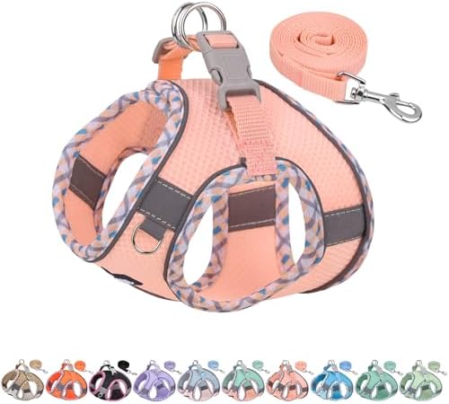 AIITLE Teacup Puppy Harness by AIITLE-FORPETSBETTERLIFE