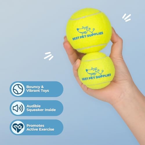 Best Pet Supplies Interactive Squeaky Dog Chew Toy, Ideal Dog Toys - Image 2