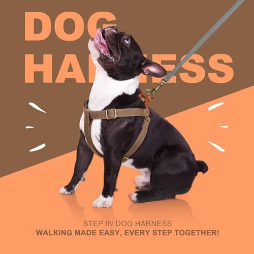 Didog Step in Dog Harnes for Small Dogs, Chest 14-22" - Image 5