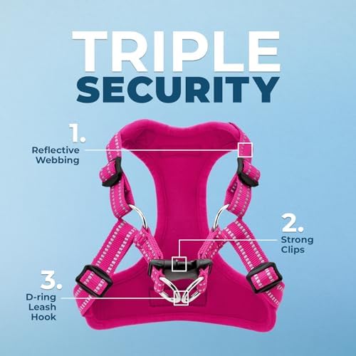 Voyager Step-in Flex Adjustable Dog Harness - Image 2