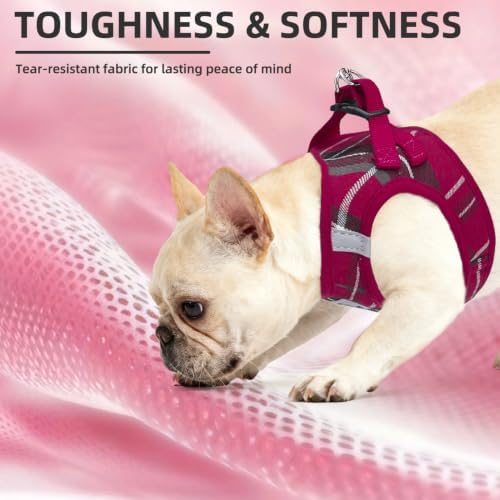 PUPTECK Dog Harness, Collar and Leash Set No Pull - Image 6