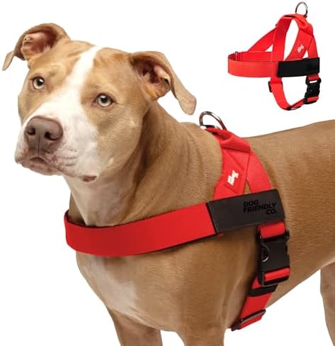 Dog Friendly Co. Dog Harness for Small Dogs by DogFriendly