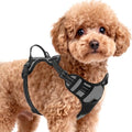 BARKBAY Dog Harness for Small Sized Dog No Pull 2 Leash Clips Dog Vest by BARKBAY