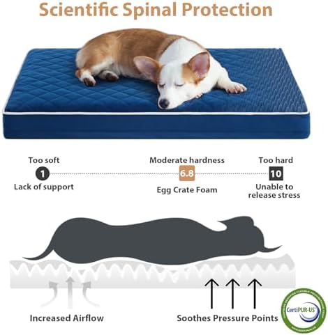 WNPETHOME Orthopedic Waterproof Large Dog Bed - Image 3