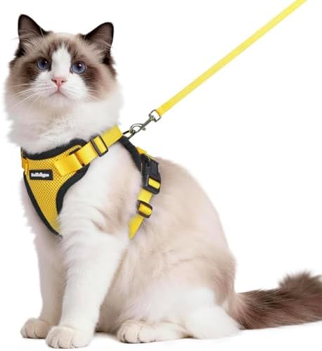rabbitgoo Cat Harness and Leash Set, Escape Proof Vest by rabbitgoo
