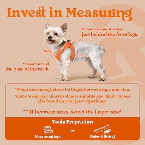 rabbitgoo Step-in Small Dog Harness, Puppy Vest - Image 2