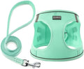 Dog Harness with Leash Set, Step-in Adjustable Puppy Pet Vest by BOOMIBOO