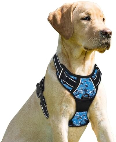 BARKBAY Dog Harness No Pull for Small Sized Dog Front Back Clips, Dog Vest by BARKBAY