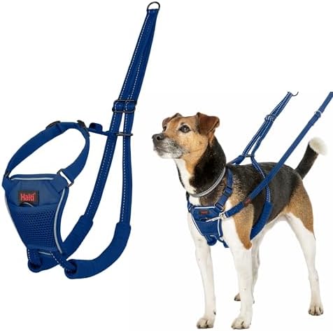 Halti No Pull Dog Harness | Size S, Cobalt Blue by Halti
