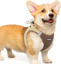 rabbitgoo Step-in Small Dog Harness, Puppy Vest by rabbitgoo