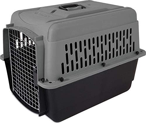 Petmate Aspen Pet Dog, Chicken Kennel, Travel Carrier by Petmate