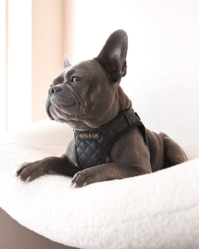 Step in Dog Harness, Lightweight Breathable Mesh Soft Padded Pet Vest, Vegan - Image 5