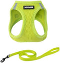 Voyager Step-in Air Cat Harness & Leash Set by BestPetSuppliesLLC