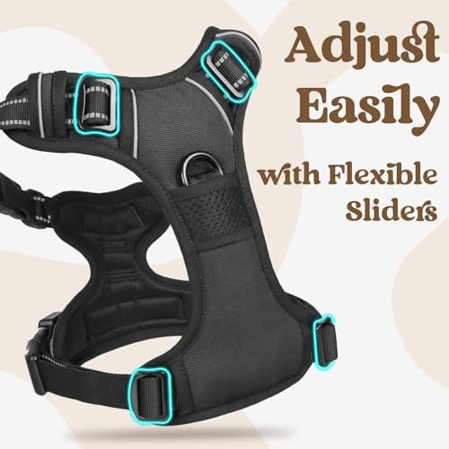 rabbitgoo Dog Harness for Large, Updated Easy On & Off - Image 3