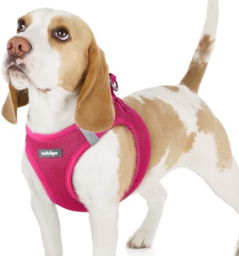 rabbitgoo Step-in Small Dog Harness, Puppy Vest by rabbitgoo