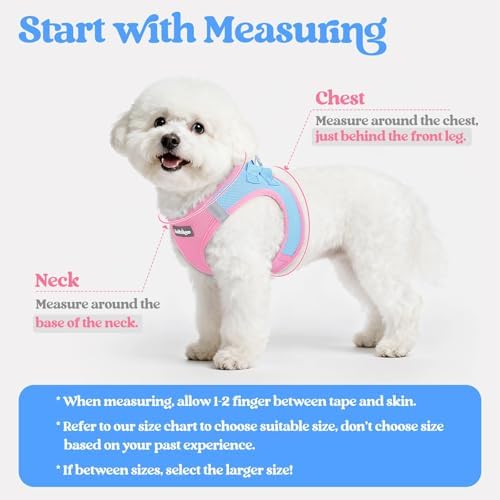 rabbitgoo Dog Harness Small Sized and Leash Set, Step-in Puppy Pet Vest - Image 2