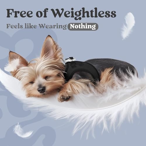 rabbitgoo Step-in Small Dog Harness, Puppy Vest - Image 4