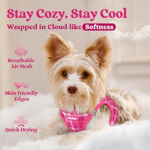 rabbitgoo Step-in Small Dog Harness, Puppy Vest - Image 3