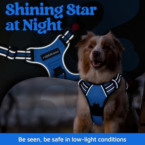 rabbitgoo Dog Harness Medium Sized, No Pull 3 Buckles Easy On & Off - Image 6