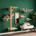 6in1 Cat Wall Shelves for Large Cats, Wall Mounted Climbing Furniture by Unknown