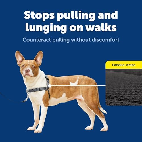 PetSafe Easy Walk Deluxe Dog Harness, No Pull Dog Harness – Perfect - Image 6