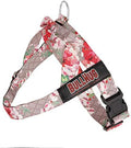 BULLHUG Adjustable Dog Harness– No Pull, No Choke – by BULLHUG