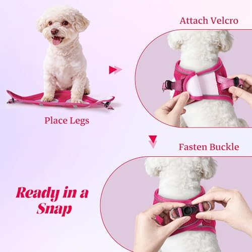 No Pull Dog Puppy Harness and Leash Set Reflective Mesh Vest Large - Image 4