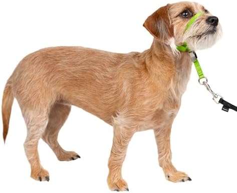 PetSafe Gentle Leader No-Pull Dog Headcollar by PetSafe