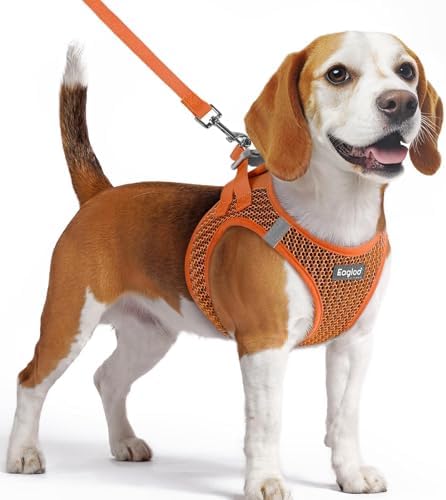 Eagloo Small Dog Harness and Leash Set, Step in Medium Small Puppy Pet Vest by GoExplorewithEagloo