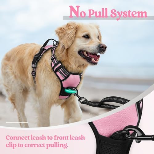 rabbitgoo Dog Harness, No Pull for Large Dogs - Image 5