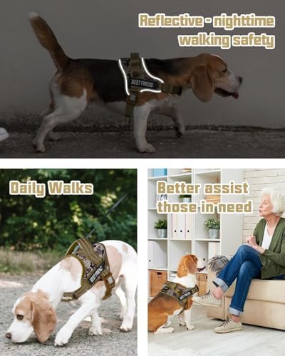 AUROTH Dog Harness for Large Dogs No Pull Tactical Harness and Leash Set - Image 2