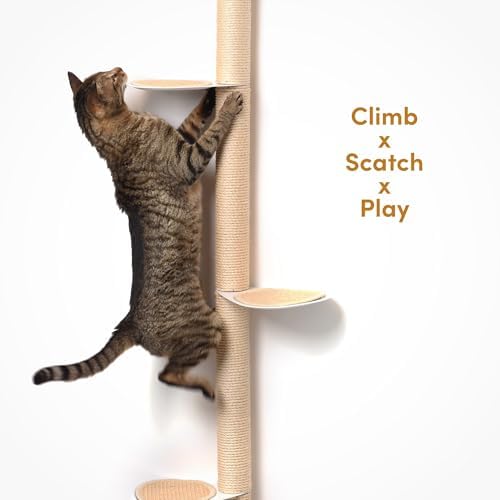 xympo 68" Tall Wall-Mounted Cat Tree – Modern Space-Saving Cat Shelf - Image 5