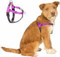 Freedom No Pull Dog Harness by APDEXY%7CEspeciallyFurYou