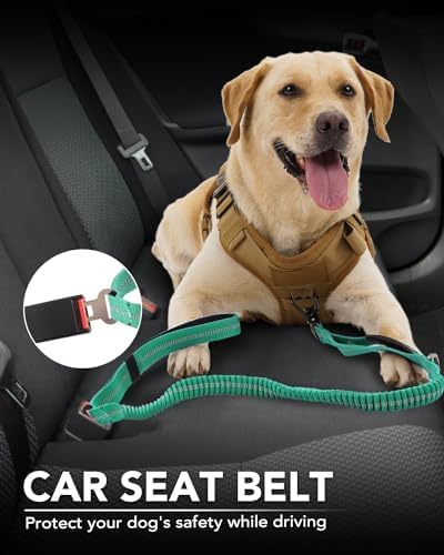 Joytale Tactical Bungee Dog Leash, Shock Absorbing No Pull - Image 5