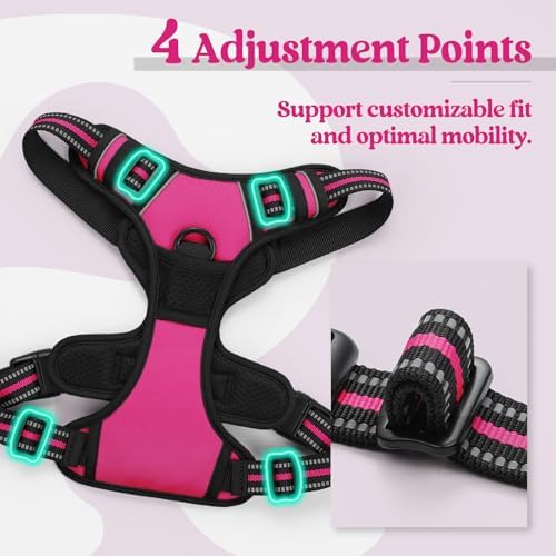 rabbitgoo Dog Harness, No Pull for Large Dogs - Image 4