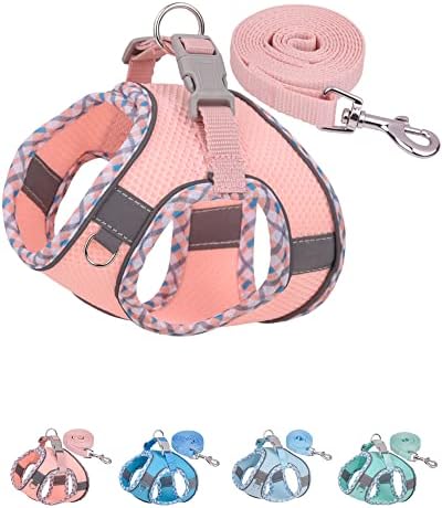 Petank Step in Dog Harness No Pull and Leash by PetankCareforEveryPaw
