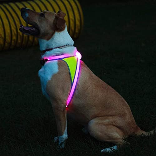 noxgear LightHound Light Up Reflective Dog Harness - Image 4