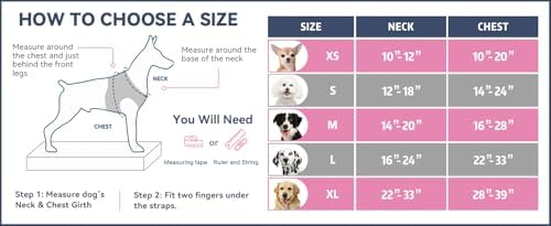 PHOEPET No Pull Dog Harnesses for Small Dogs Reflective Adjustable - Image 2