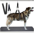 Pet Dog Grooming Belly Strap – 2 Inch Wide Waterproof Strong PVC Support Band by DISCPETSEC