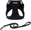 Voyager Step-in Air Cat Harness & Leash Set by BestPetSuppliesLLC