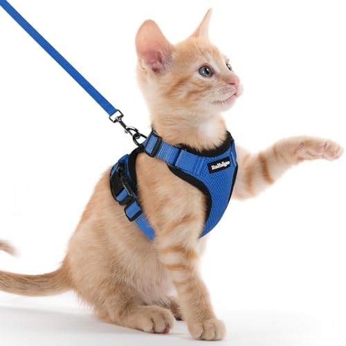 rabbitgoo Cat Harness and Leash Set, Escape Proof Vest by rabbitgoo