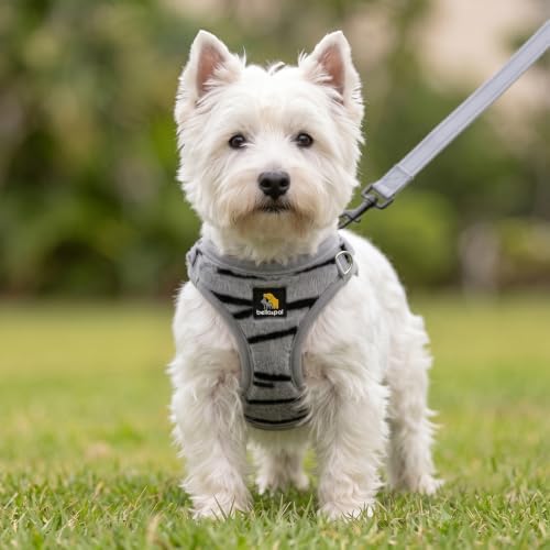 BELLA & PAL Step in Puppy Harness and Leash Set - Image 6