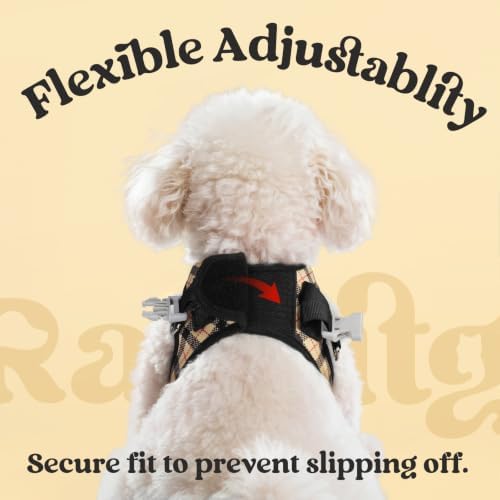 rabbitgoo Dog Harness Small Sized and Leash Set, Step in Soft Vest - Image 6