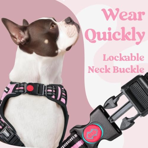 rabbitgoo Dog Harness for Large, Updated Easy On & Off - Image 2