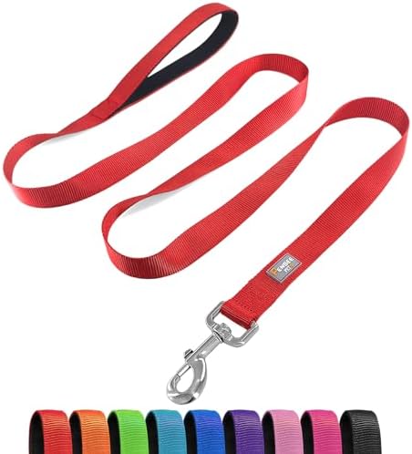 6 FT Reflective Dog Leash for Small Dogs by Penseepet
